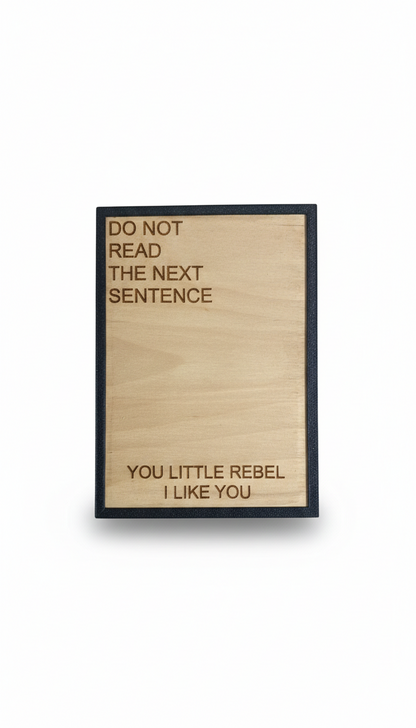 Καδράκι τοίχου you little rebel