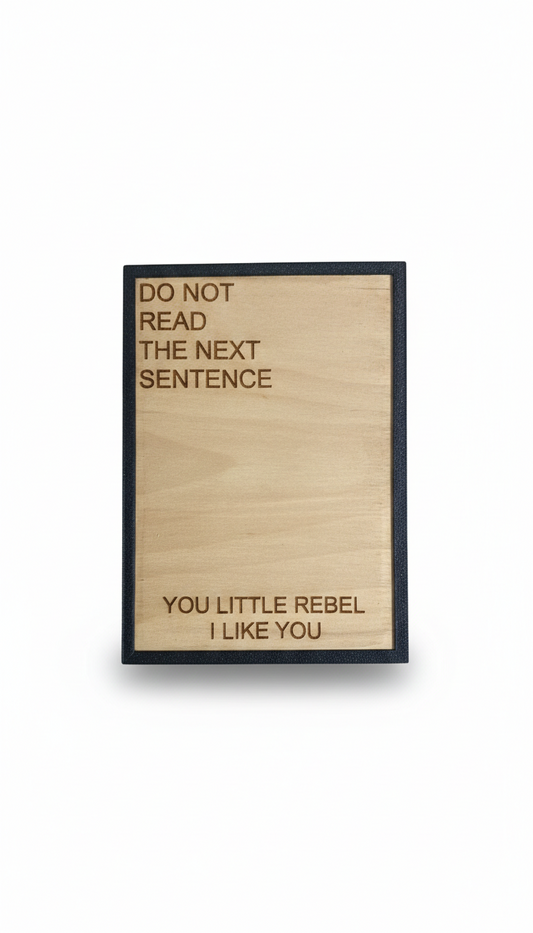 Καδράκι τοίχου you little rebel